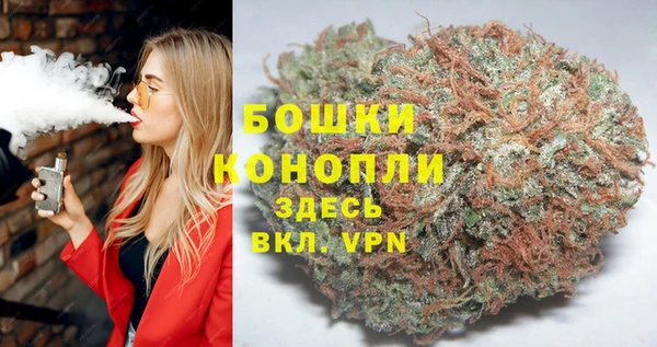 ГАЛЛЮЦИНОГЕННЫЕ ГРИБЫ Ладушкин