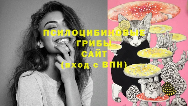 крисы Лагань