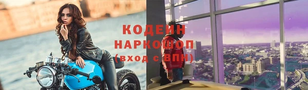 крисы Лагань