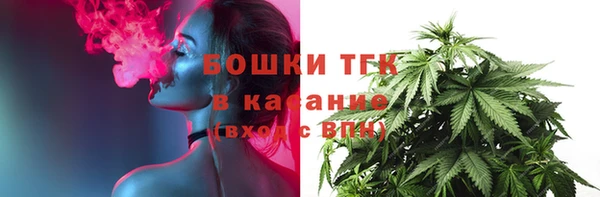 ГАЛЛЮЦИНОГЕННЫЕ ГРИБЫ Ладушкин