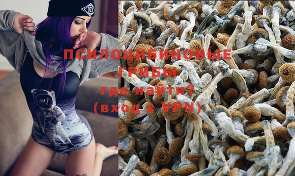 ПСИЛОЦИБИНОВЫЕ ГРИБЫ Лабытнанги