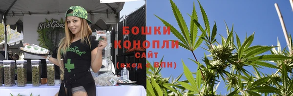 крисы Лагань