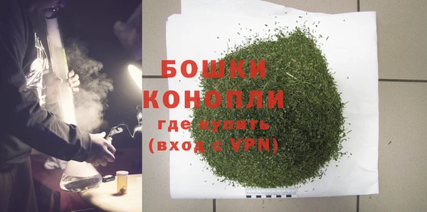 ПСИЛОЦИБИНОВЫЕ ГРИБЫ Лабытнанги
