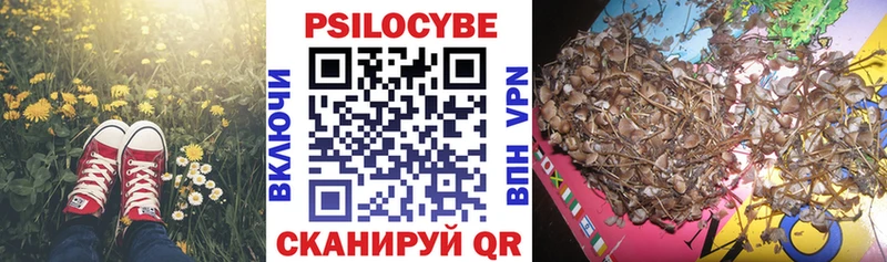 Галлюциногенные грибы GOLDEN TEACHER  Малгобек 