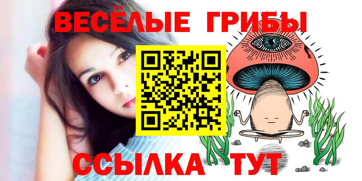 Малгобек  Псилоцибиновые грибы Psilocybe  Вход с VPN 