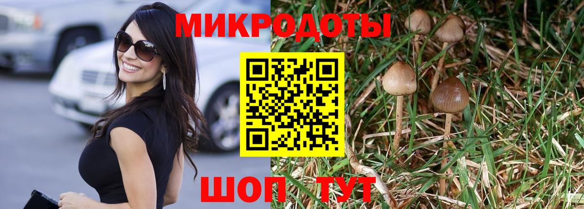 Псилоцибиновые грибы MAGIC MUSHROOMS Малгобек